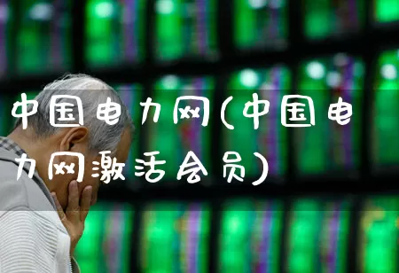 中国电力网(中国电力网激活会员)_https://www.syklpowerbike.com_科创板_第1张