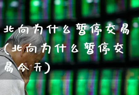 北向为什么暂停交易(北向为什么暂停交易今天)_https://www.syklpowerbike.com_上交所_第1张