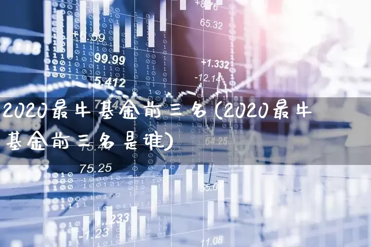 2020最牛基金前三名(2020最牛基金前三名是谁)_https://www.syklpowerbike.com_科创板_第1张