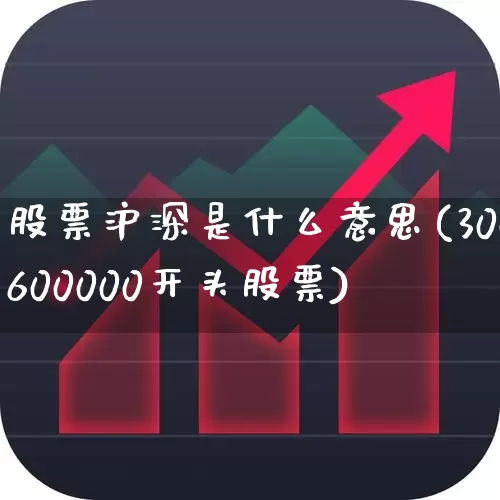 股票沪深是什么意思(300600000开头股票)_https://www.syklpowerbike.com_深交所_第1张