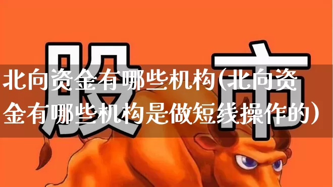 北向资金有哪些机构(北向资金有哪些机构是做短线操作的)_https://www.syklpowerbike.com_深交所_第1张