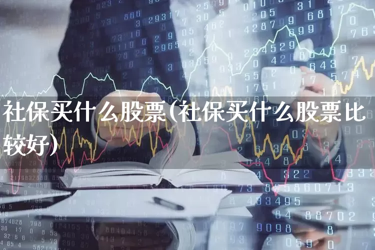 社保买什么股票(社保买什么股票比较好)_https://www.syklpowerbike.com_创业板_第1张