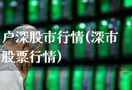 户深股市行情(深市股票行情)_https://www.syklpowerbike.com_北交所_第1张