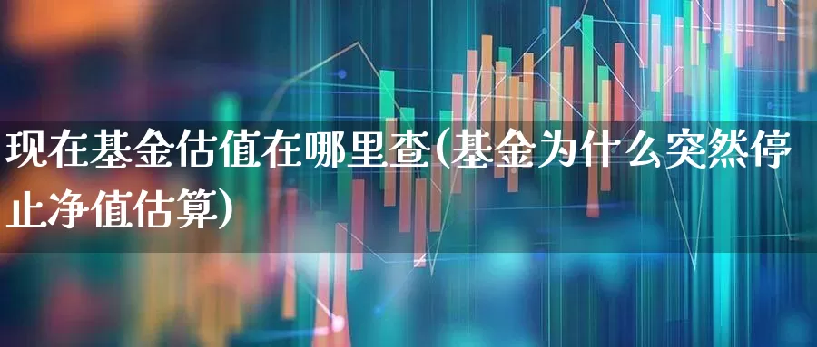 现在基金估值在哪里查(基金为什么突然停止净值估算)_https://www.syklpowerbike.com_创业板_第1张