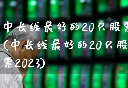 中长线最好的20只股票(中长线最好的20只股票2023)_https://www.syklpowerbike.com_科创板_第1张