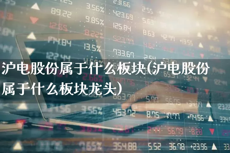 沪电股份属于什么板块(沪电股份属于什么板块龙头)_https://www.syklpowerbike.com_科创板_第1张