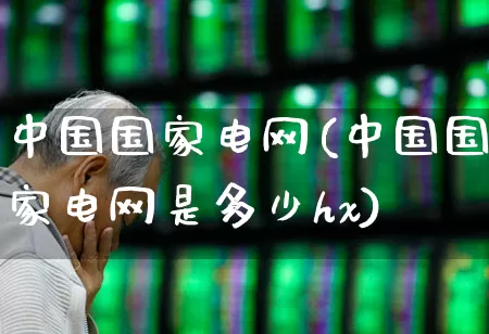 中国国家电网(中国国家电网是多少hx)_https://www.syklpowerbike.com_北交所_第1张