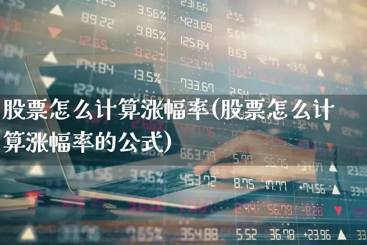 股票怎么计算涨幅率(股票怎么计算涨幅率的公式)_https://www.syklpowerbike.com_北交所_第1张