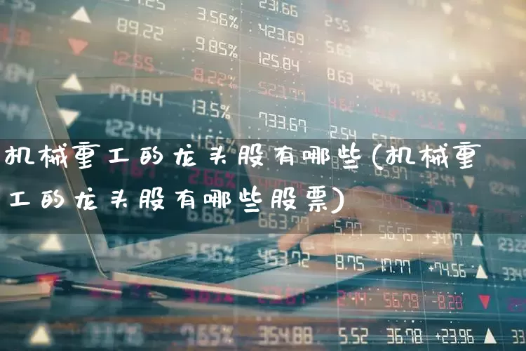 机械重工的龙头股有哪些(机械重工的龙头股有哪些股票)_https://www.syklpowerbike.com_科创板_第1张