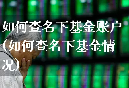 如何查名下基金账户(如何查名下基金情况)_https://www.syklpowerbike.com_深交所_第1张