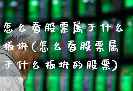 怎么看股票属于什么板块(怎么看股票属于什么板块的股票)_https://www.syklpowerbike.com_科创板_第1张