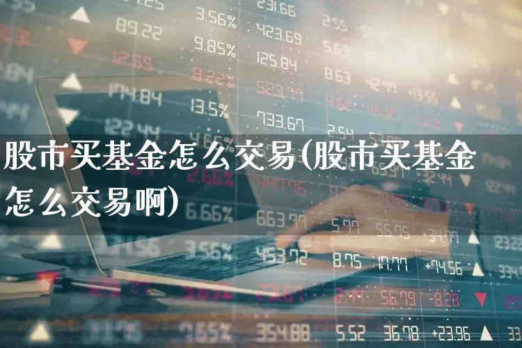 股市买基金怎么交易(股市买基金怎么交易啊)_https://www.syklpowerbike.com_上交所_第1张