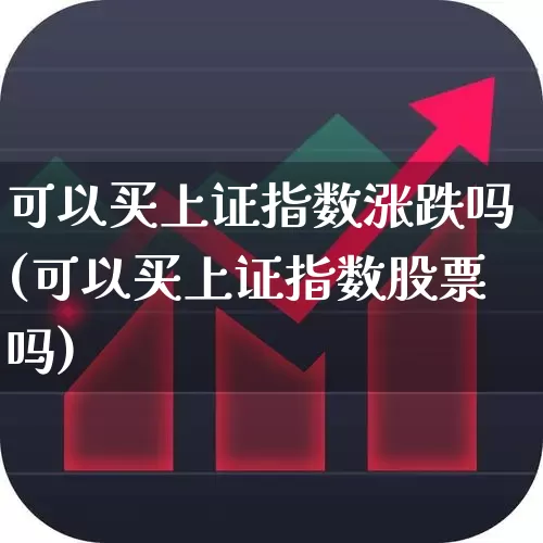 可以买上证指数涨跌吗(可以买上证指数股票吗)_https://www.syklpowerbike.com_深交所_第1张