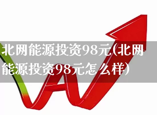 北网能源投资98元(北网能源投资98元怎么样)_https://www.syklpowerbike.com_深交所_第1张