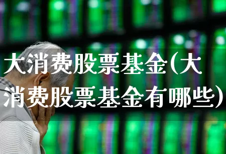 大消费股票基金(大消费股票基金有哪些)_https://www.syklpowerbike.com_创业板_第1张