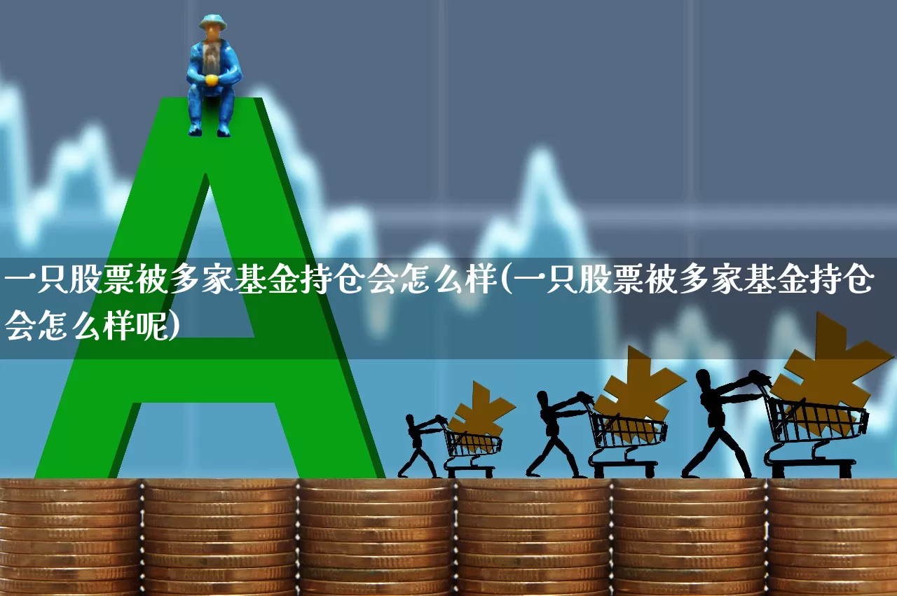 一只股票被多家基金持仓会怎么样(一只股票被多家基金持仓会怎么样呢)_https://www.syklpowerbike.com_创业板_第1张