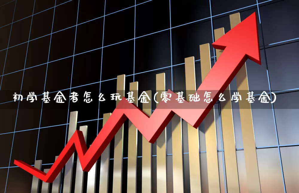 初学基金者怎么玩基金(零基础怎么学基金)_https://www.syklpowerbike.com_创业板_第1张