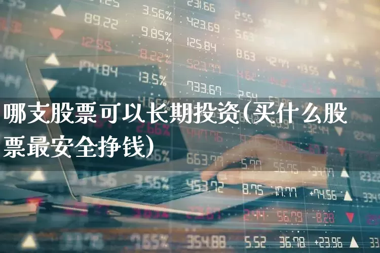 哪支股票可以长期投资(买什么股票最安全挣钱)_https://www.syklpowerbike.com_创业板_第1张