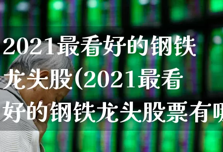 2021最看好的钢铁龙头股(2021最看好的钢铁龙头股票有哪些)_https://www.syklpowerbike.com_北交所_第1张
