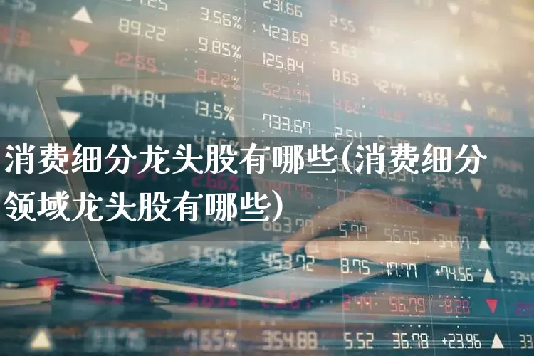 消费细分龙头股有哪些(消费细分领域龙头股有哪些)_https://www.syklpowerbike.com_深交所_第1张