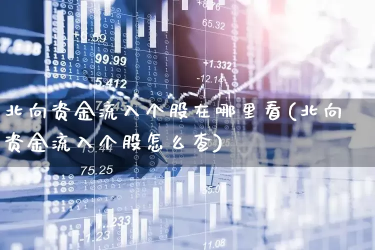 北向资金流入个股在哪里看(北向资金流入个股怎么查)_https://www.syklpowerbike.com_创业板_第1张