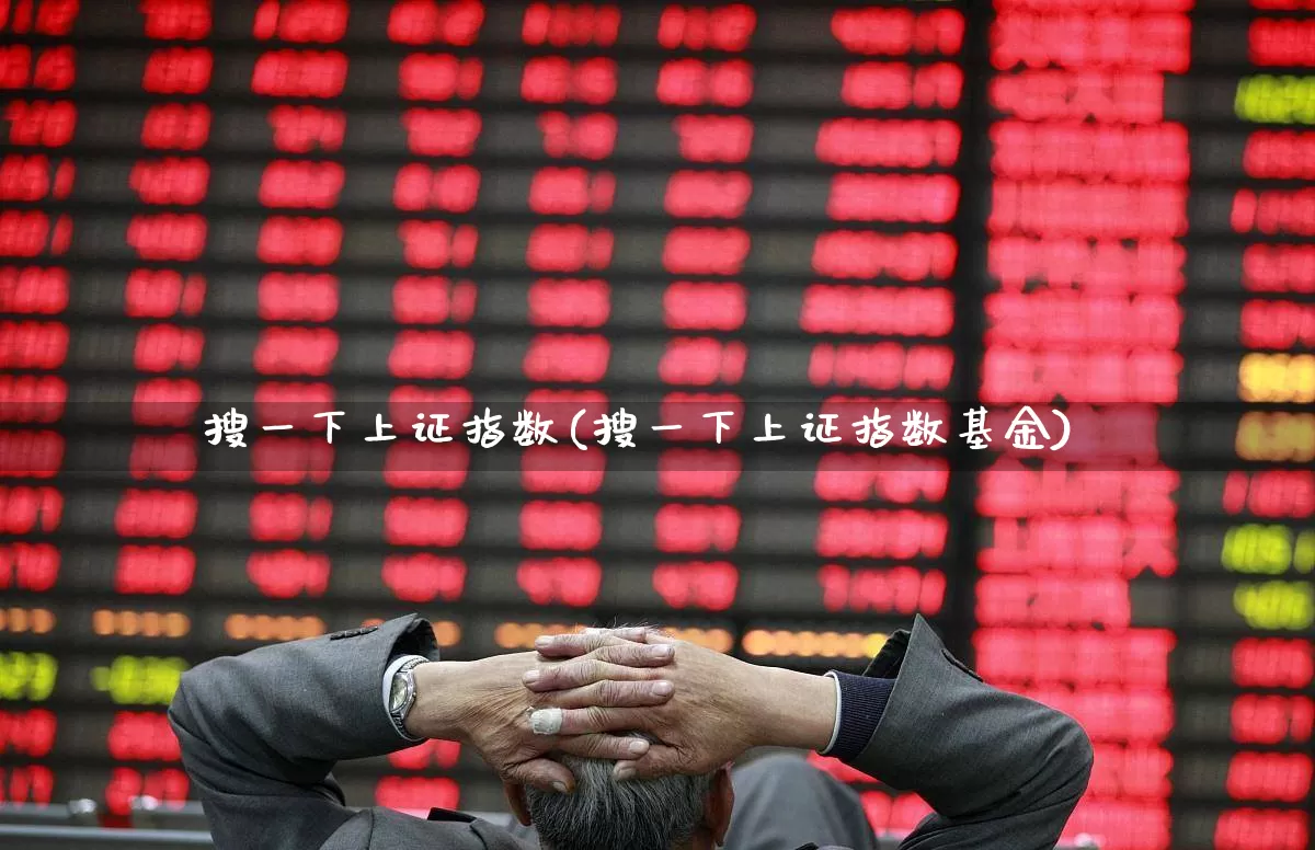 搜一下上证指数(搜一下上证指数基金)_https://www.syklpowerbike.com_上交所_第1张