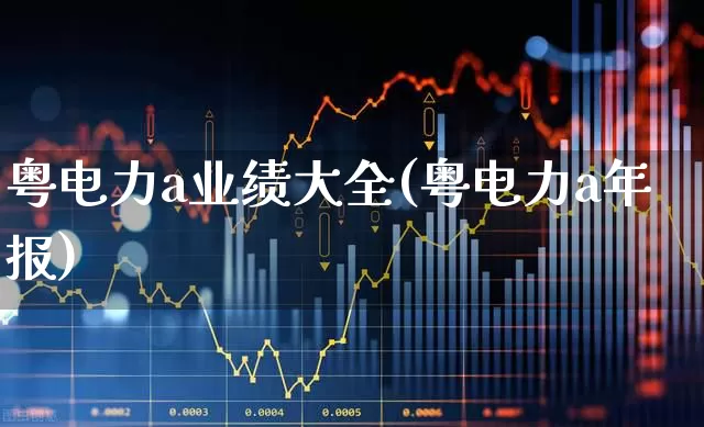 粤电力a业绩大全(粤电力a年报)_https://www.syklpowerbike.com_上交所_第1张