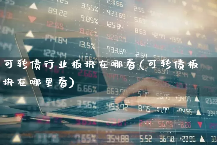 可转债行业板块在哪看(可转债板块在哪里看)_https://www.syklpowerbike.com_创业板_第1张