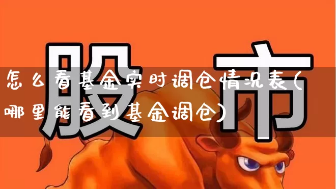 怎么看基金实时调仓情况表(哪里能看到基金调仓)_https://www.syklpowerbike.com_深交所_第1张
