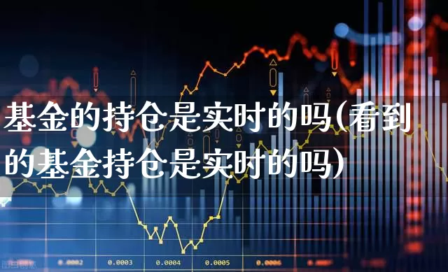 基金的持仓是实时的吗(看到的基金持仓是实时的吗)_https://www.syklpowerbike.com_科创板_第1张