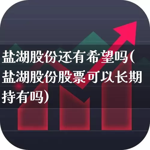 盐湖股份还有希望吗(盐湖股份股票可以长期持有吗)_https://www.syklpowerbike.com_科创板_第1张