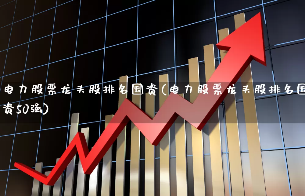 电力股票龙头股排名国资(电力股票龙头股排名国资50强)_https://www.syklpowerbike.com_科创板_第1张
