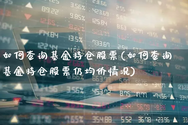 如何查询基金持仓股票(如何查询基金持仓股票仍均价情况)_https://www.syklpowerbike.com_科创板_第1张