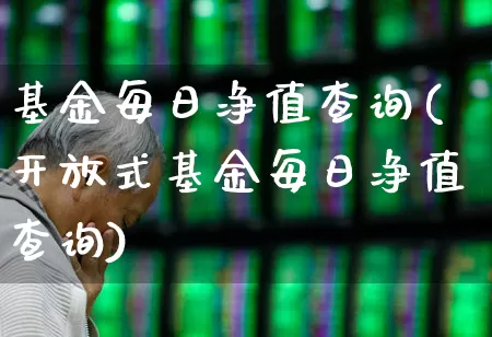 基金每日净值查询(开放式基金每日净值查询)_https://www.syklpowerbike.com_深交所_第1张