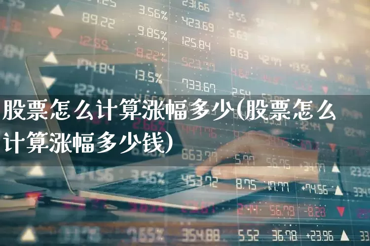 股票怎么计算涨幅多少(股票怎么计算涨幅多少钱)_https://www.syklpowerbike.com_创业板_第1张