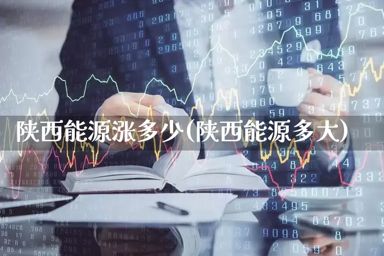 陕西能源涨多少(陕西能源多大)_https://www.syklpowerbike.com_北交所_第1张