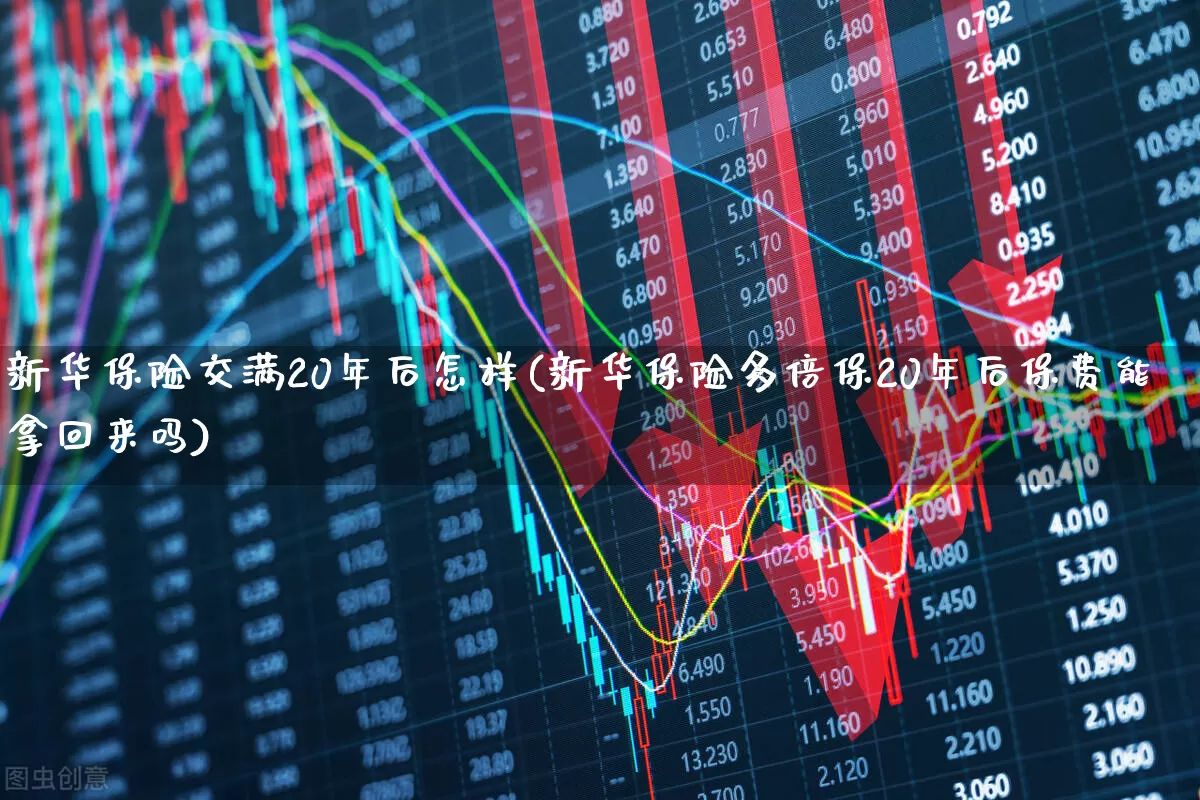新华保险交满20年后怎样(新华保险多倍保20年后保费能拿回来吗)_https://www.syklpowerbike.com_深交所_第1张
