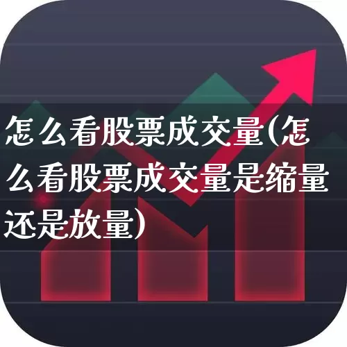 怎么看股票成交量(怎么看股票成交量是缩量还是放量)_https://www.syklpowerbike.com_北交所_第1张