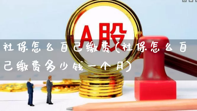 社保怎么自己缴费(社保怎么自己缴费多少钱一个月)_https://www.syklpowerbike.com_北交所_第1张