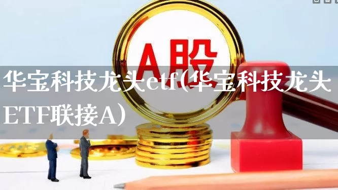 华宝科技龙头etf(华宝科技龙头ETF联接A)_https://www.syklpowerbike.com_上交所_第1张