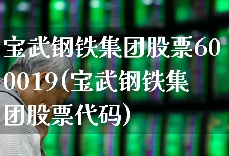 宝武钢铁集团股票600019(宝武钢铁集团股票代码)_https://www.syklpowerbike.com_上交所_第1张