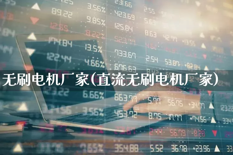无刷电机厂家(直流无刷电机厂家)_https://www.syklpowerbike.com_深交所_第1张