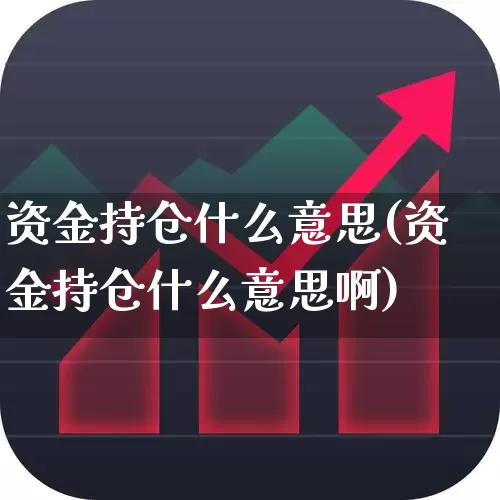 资金持仓什么意思(资金持仓什么意思啊)_https://www.syklpowerbike.com_深交所_第1张