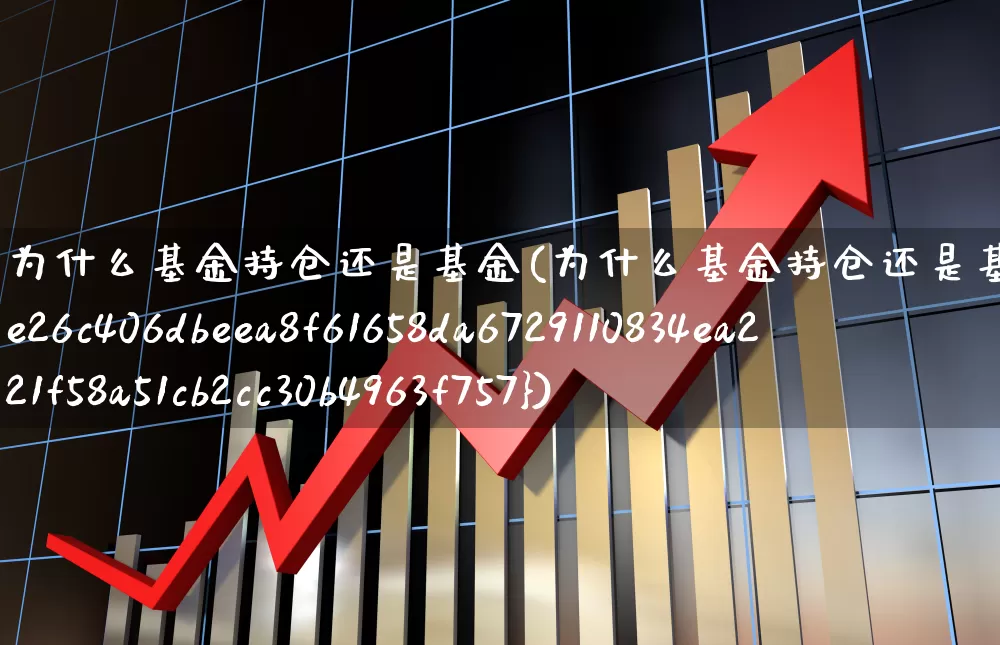 为什么基金持仓还是基金(为什么基金持仓还是基金占比90%)_https://www.syklpowerbike.com_北交所_第1张