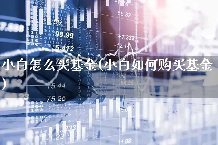 小白怎么买基金(小白如何购买基金)_https://www.syklpowerbike.com_创业板_第1张