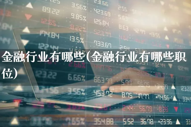 金融行业有哪些(金融行业有哪些职位)_https://www.syklpowerbike.com_创业板_第1张