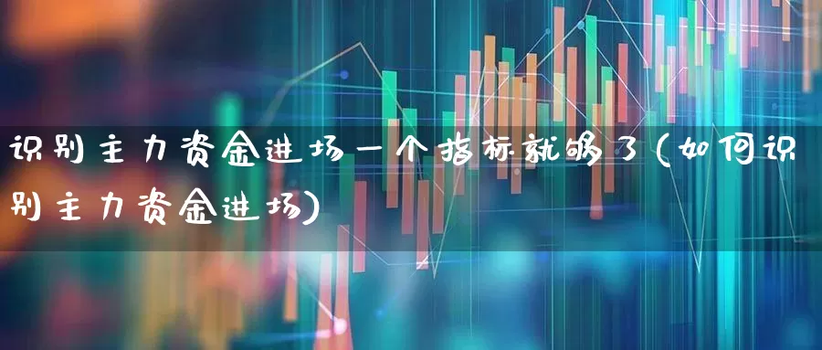 识别主力资金进场一个指标就够了(如何识别主力资金进场)_https://www.syklpowerbike.com_深交所_第1张