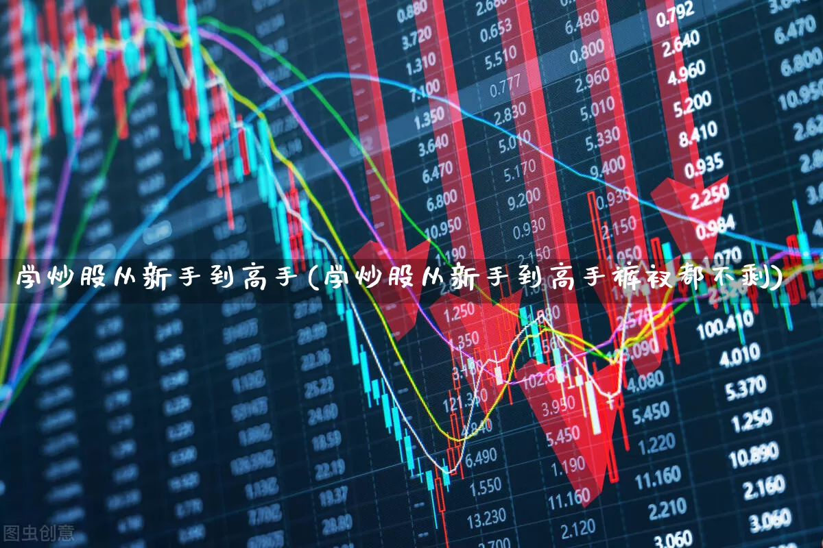 学炒股从新手到高手(学炒股从新手到高手裤衩都不剩)_https://www.syklpowerbike.com_北交所_第1张