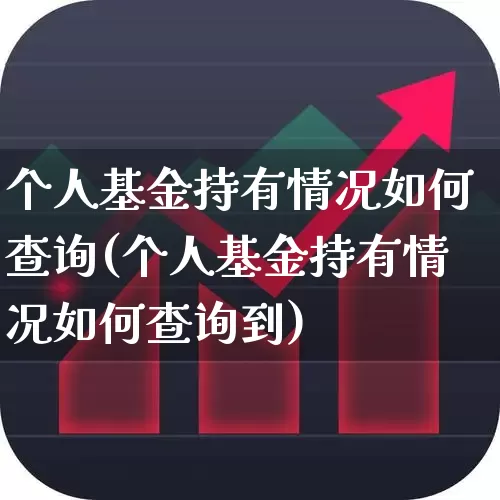 个人基金持有情况如何查询(个人基金持有情况如何查询到)_https://www.syklpowerbike.com_科创板_第1张