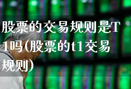 股票的交易规则是T 1吗(股票的t1交易规则)_https://www.syklpowerbike.com_北交所_第1张